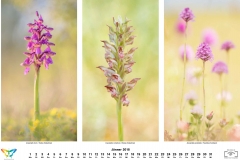 natur_201801
