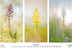natur_201802
