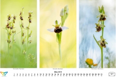 natur_201803