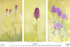 natur_201804
