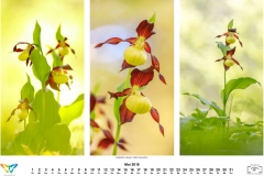 natur_201805