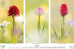 natur_201807