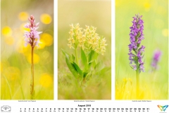 natur_201808