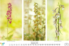 natur_201809