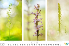 natur_201812