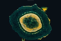 kalender_2027_micro_cmyk.indd