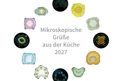 kalender_2027_micro_cmyk.indd