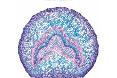 2026_micro_01