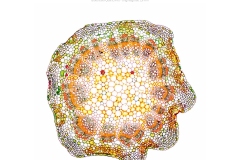 2026_micro_11