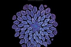 2026_micro_12