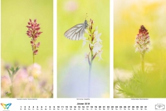 natur_201901