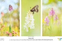 natur_201902