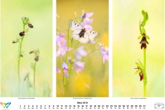 natur_201903