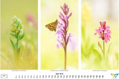 natur_201904