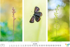 natur_201906