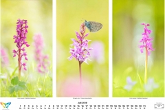 natur_201907