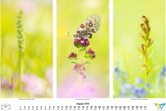 natur_201908