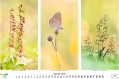 natur_201909