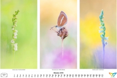 natur_201910