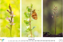 natur_201911