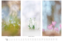 2026_natur_02