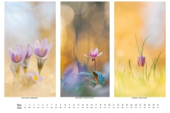 2026_natur_03