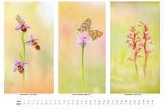 2026_natur_04