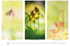 2026_natur_06