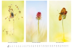 2026_natur_07
