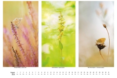 2026_natur_08