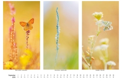 2026_natur_09
