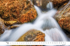 2026_natur_10