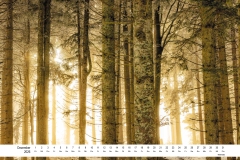 2026_natur_12