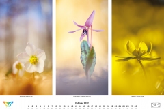 2022_natur_02