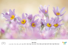 2022_natur_03