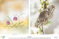 2022_natur_04
