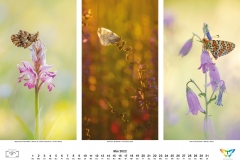 2022_natur_05