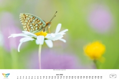 2022_natur_06