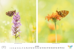 2022_natur_07