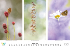 2022_natur_08