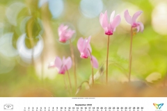 2022_natur_09