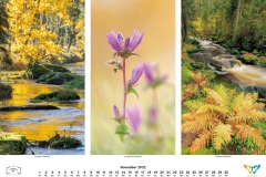 2022_natur_11