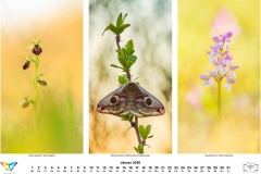 2020_natur-1