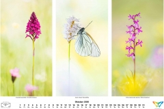 2020_natur-10