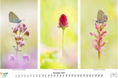 2020_natur-11