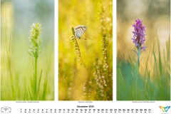 2020_natur-12