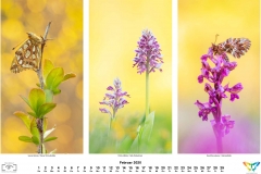 2020_natur-2