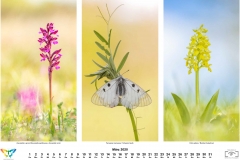 2020_natur-3