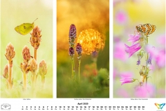 2020_natur-4