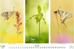2020_natur-5